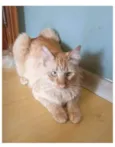 BEN