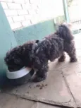 Desconhecido