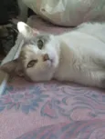 Xita