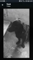 Bruce