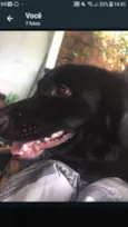 Bruce