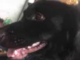 Bruce