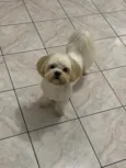 Joe