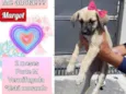 Margot