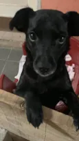Nina