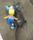 Little Gray