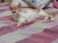 Fred