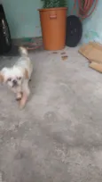 DIMI