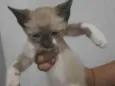 Indefinido 