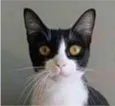 MARGÔ