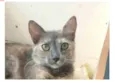 SUSY