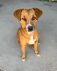 Kira