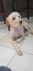 Meg