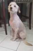 Meg