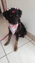 Foi abandonada
