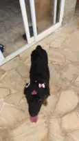 Foi abandonada
