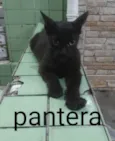 Sem nome