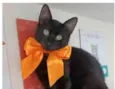 DALILA