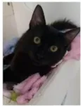 DALILA