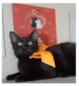 DALILA