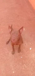 Max