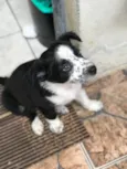 Ayla