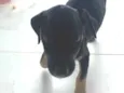 Não tem nome