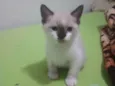 Francisco