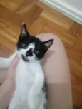 .