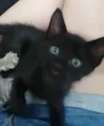 ..