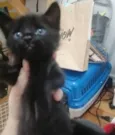 ..