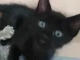 ..