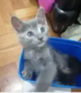 ....