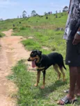 Apollo