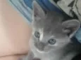 ....