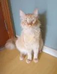 Ben