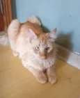 Ben