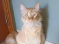 Ben