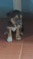 Zeus