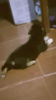 Zeus