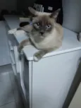 Marie