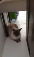 Marie