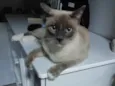Marie