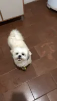 Billy