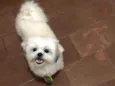 Billy
