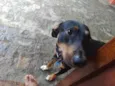 Bob