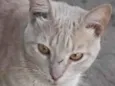 Nick 