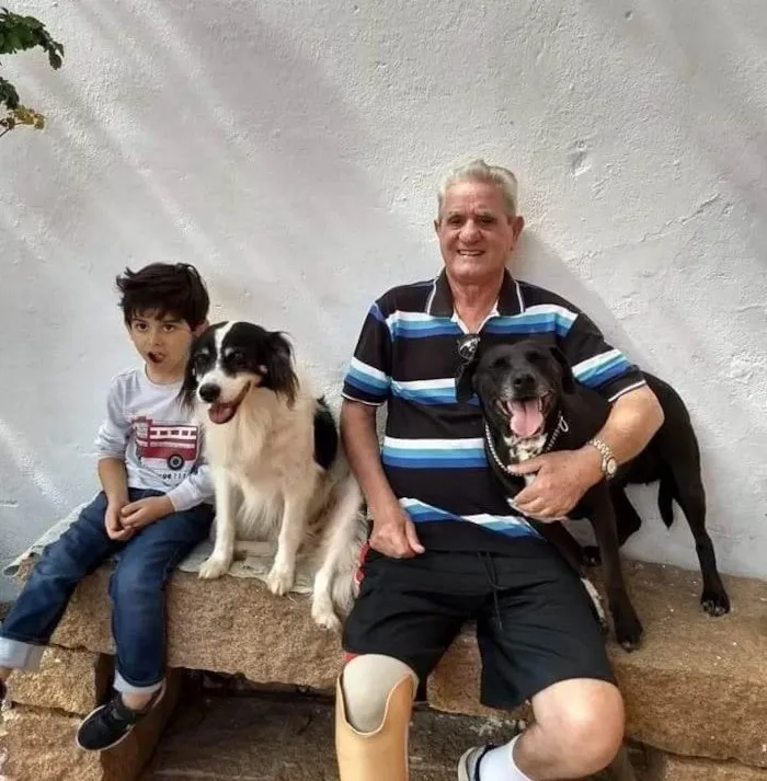 Cachorro ra a Vira lata idade 6 ou mais anos nome Pitoco, Tochinha e P