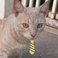 Nick 