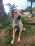 Bolinha